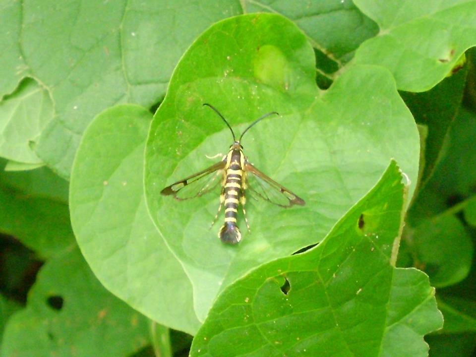 FIGURE 2 FIGURE 2
